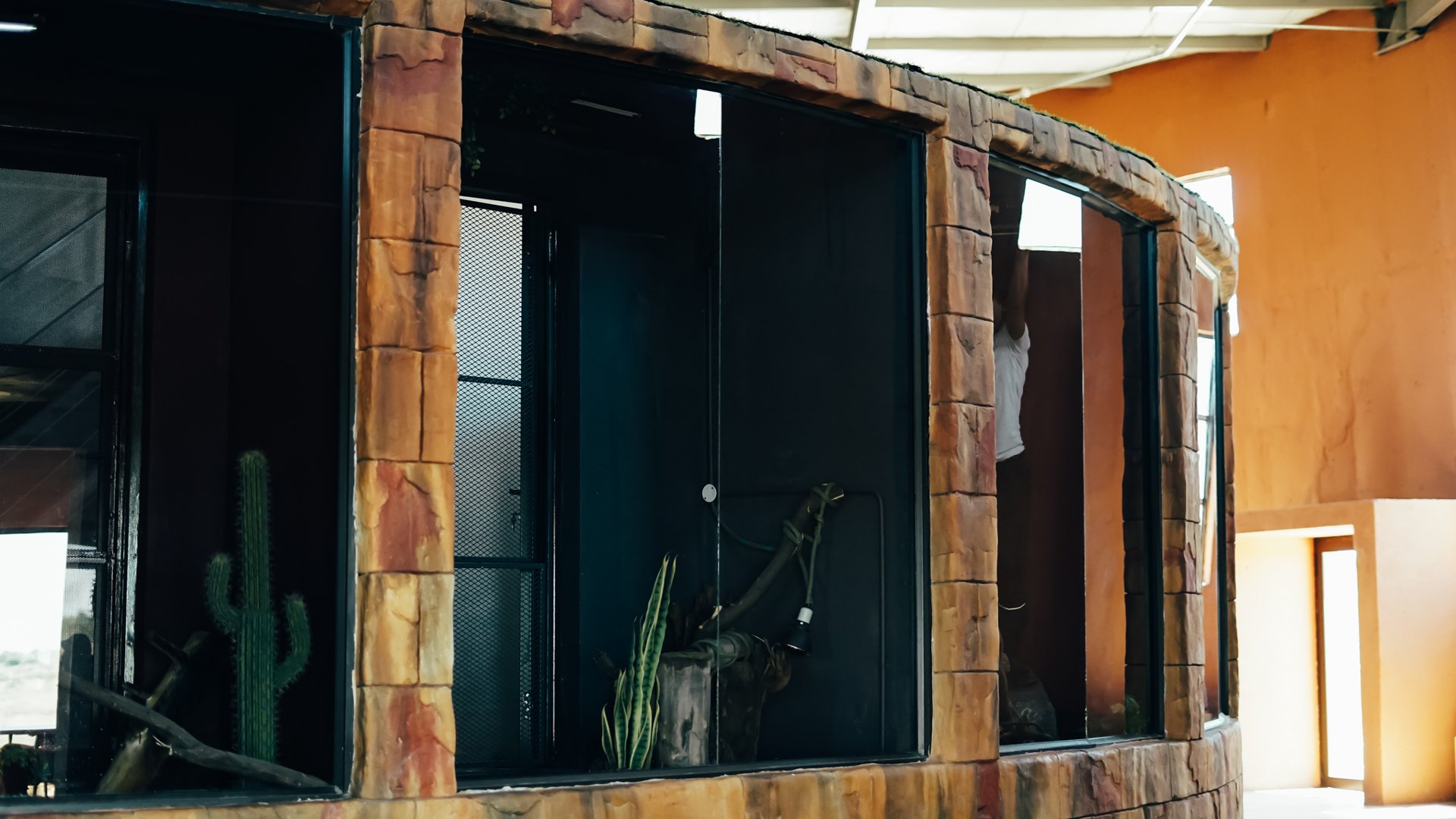 Themed enclosures inside the park