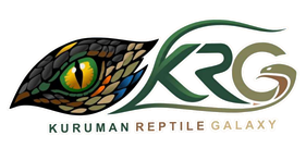 Kuruman Reptile Galaxy